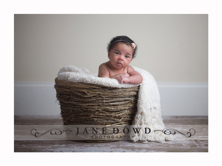 jane dowd photography