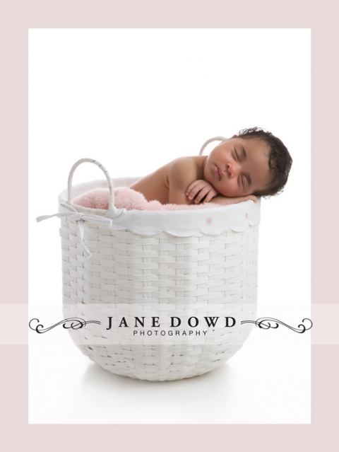 jane dowd photography