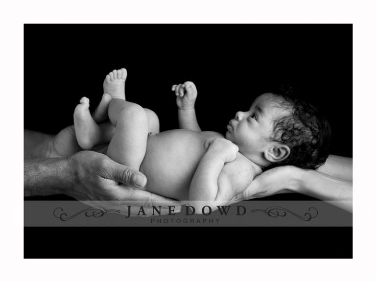 jane dowd photography