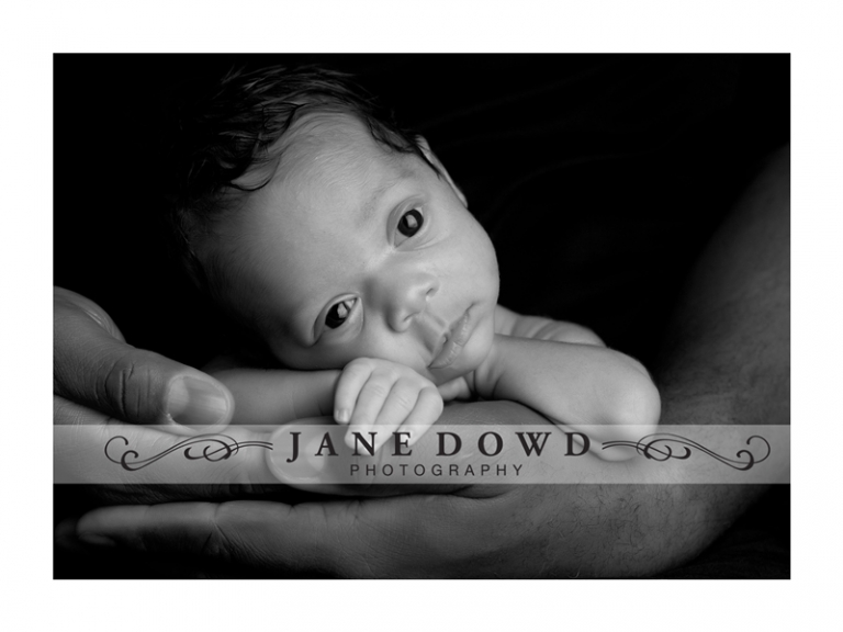 newborn photography