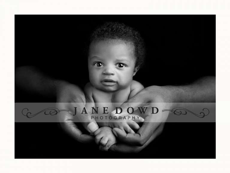 jane dowd photography