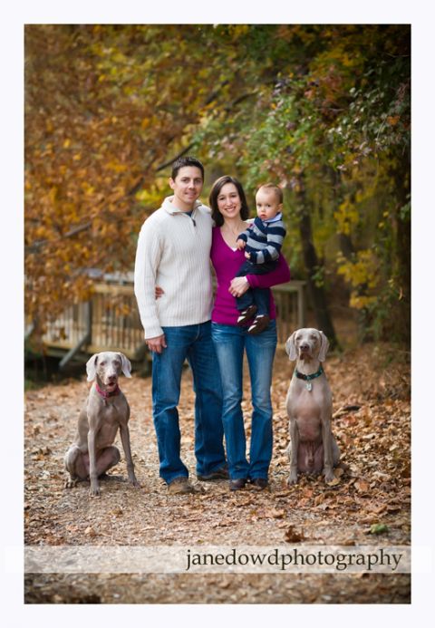 atlanta baby, childrens, dogs photography 