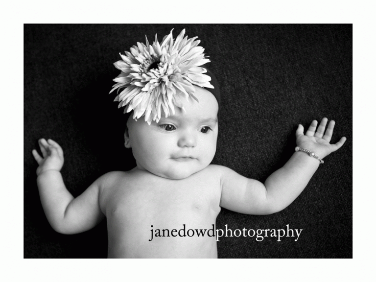 jane dowd photography baby photographer