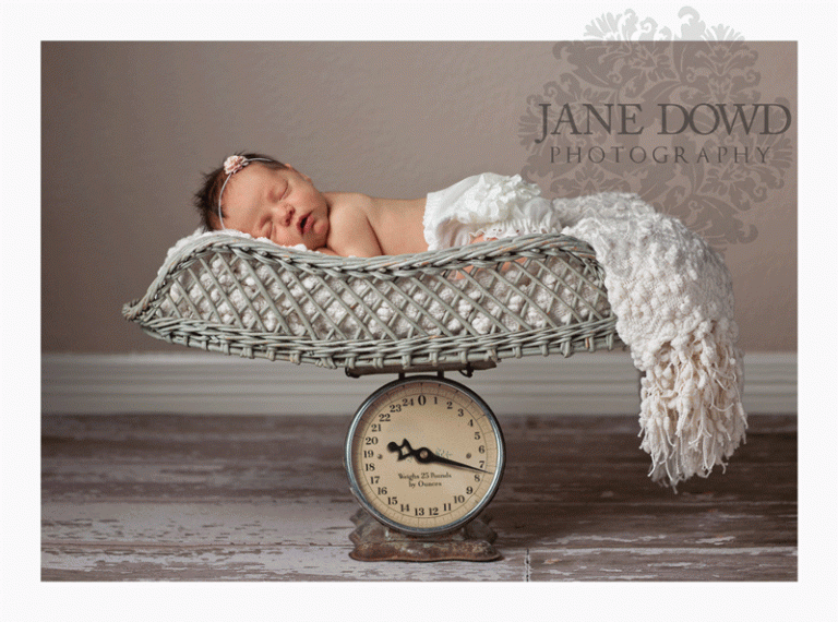 newborn photography jane dowd